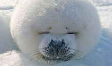 搞笑长篇段子，搞笑长篇说说