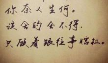 北京青年中的语录经典