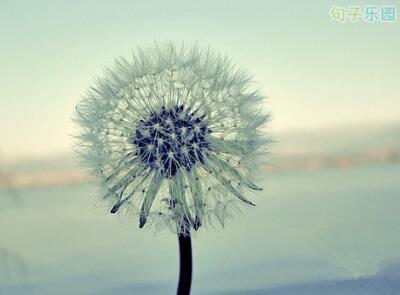 我一直在假装爱我