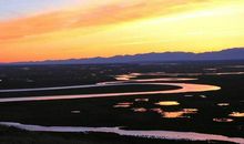 描写深秋胡杨林美景的好句子