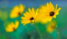 人生处处是惊喜的说说 表达意外惊喜的说说