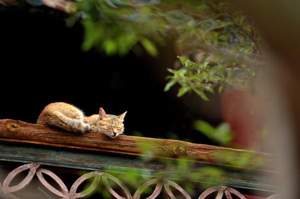 时间永远不会过去