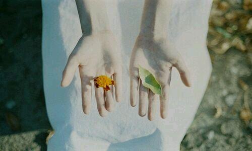 他们一生都想念它