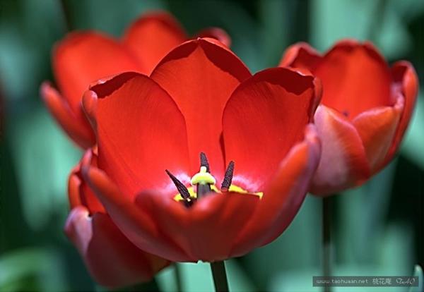 辛苦工作了一年