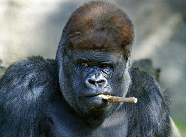 经典语录很有趣     1