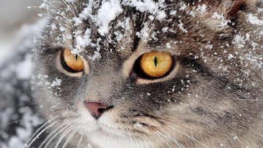 一个人的一生需要花费很强的能力来改变一个人的命运