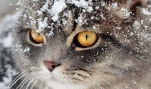 关于坚强的句子