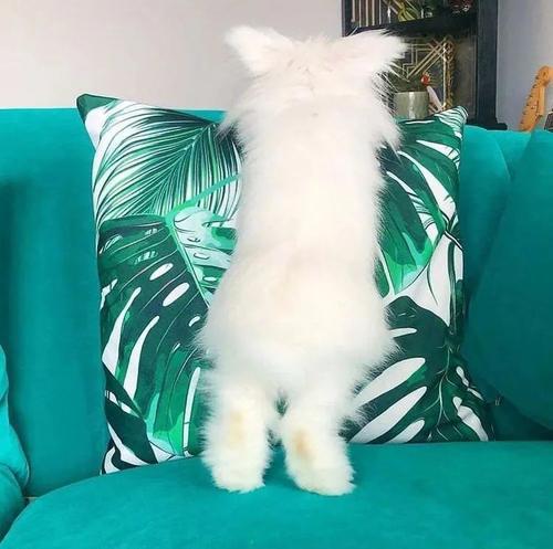 并希望将来快乐