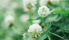 姐妹相聚开心的句子搞笑