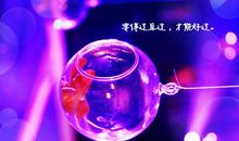 一个人走夜路心情说说 独自一人走在黑夜说说