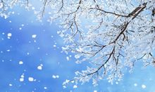 心烦的不行想死的句子