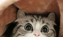 工作做的不开心句子