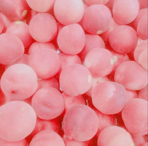 小编整理了一些有关幸福生活的句子