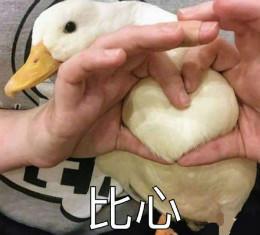 编辑编辑了一些关于幸福的周末句子