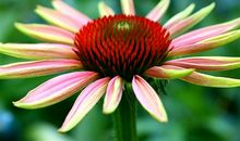 疫情过后只想好好挣钱的说说