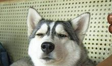 不想上学搞笑短句 关于回学校的说说搞笑