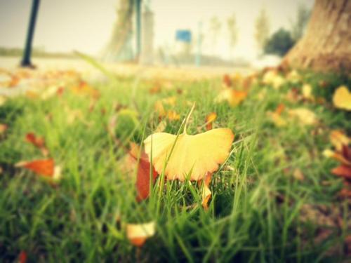 婆and之间的关系是最纠结的关系之一