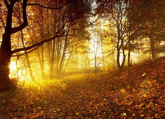 如果您放弃得太早