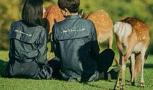 情侣在一起开心的句子