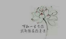 最经典的古风句子