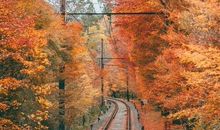 青春文艺小清新句子大全