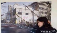 形容自己很开心的社会句子