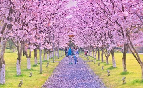 如何写出儿童春季游