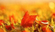 关于美食文艺的句子