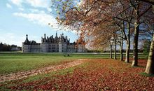 描写优美的环境的好句子