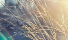 文艺唯美简短古风句子