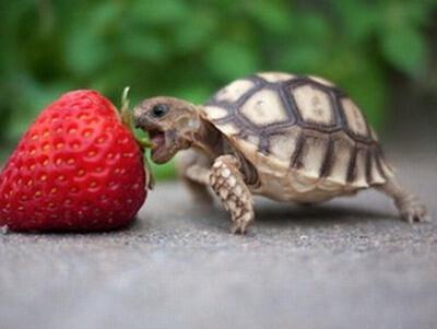 老师知道我们恋爱了很久