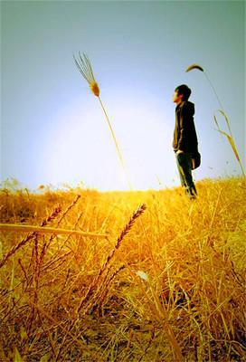 以下是我为您汇编的一句话