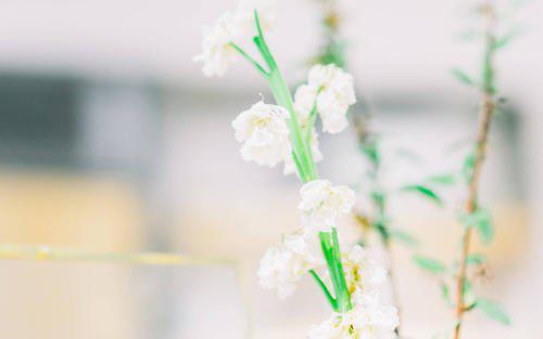 编辑整理了一些有关不幸的句子