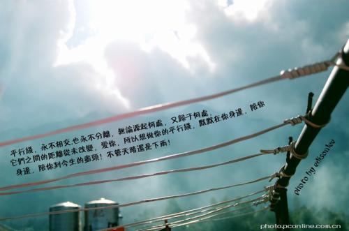  人们总是珍惜自己没有得到的东西