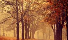 描写春天的文艺语句