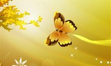 关于成长的代价的说说