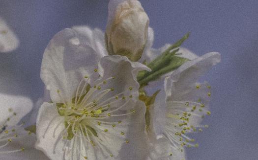 时间总是流逝得如此之快