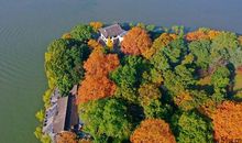 想你想到我心碎的句子