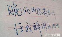 描写高兴的句子