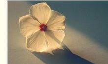 关于爱的个性签名