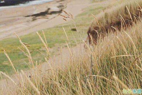 我就像一个路人