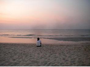 以下是由编辑为每个人编写的令人失望的句子