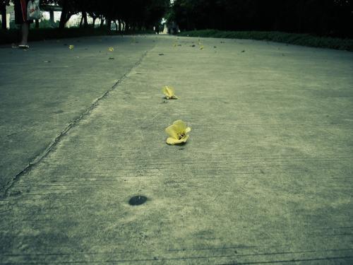 男朋友都是最有价值的人