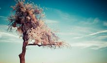 形容对人生失望的句子说说心情短语