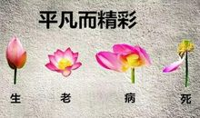 生老病死感悟的句子