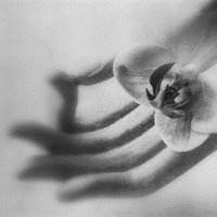 这是无法接受的