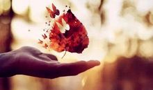 情人节伤感语录短句