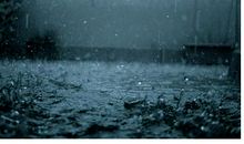 描写大雨的句子