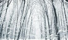 对自己做事失望的句子