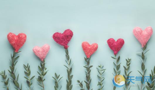 您的温柔是我最大的幸福